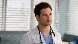 Grey's Anatomy 15. Sezon 17. Bölüm