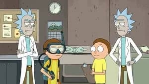 Rick and Morty 3. Sezon 7. Bölüm
