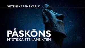 Vetenskapens värld 50. Sezon 12. Bölüm