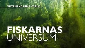 Vetenskapens värld 47. Sezon 19. Bölüm