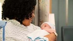Grey's Anatomy 15. Sezon 22. Bölüm