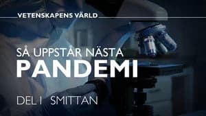 Vetenskapens värld 49. Sezon 8. Bölüm