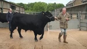Clarkson's Farm 4. Sezon 5. Bölüm