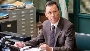 Law & Order 22. Sezon 17. Bölüm