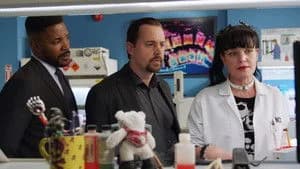 NCIS 15. Sezon 14. Bölüm