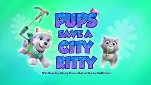 PAW Patrol 4. Sezon 28. Bölüm