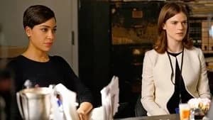 The Good Fight 1. Sezon 9. Bölüm