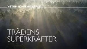 Vetenskapens värld 49. Sezon 13. Bölüm