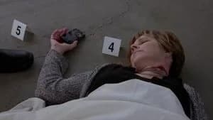 Criminal Minds 9. Sezon 3. Bölüm