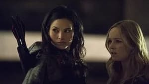 Arrow 2. Sezon 13. Bölüm