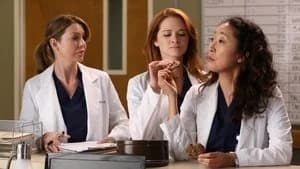 Grey's Anatomy 9. Sezon 11. Bölüm