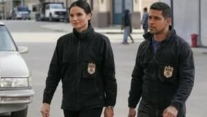 NCIS 20. Sezon 14. Bölüm