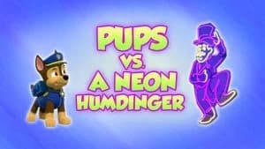 PAW Patrol 8. Sezon 11. Bölüm