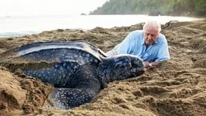 Blue Planet II 1. Sezon 7. Bölüm