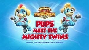 PAW Patrol 6. Sezon 16. Bölüm