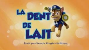 PAW Patrol 1. Sezon 38. Bölüm