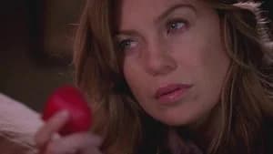 Grey's Anatomy 5. Sezon 14. Bölüm