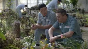 Prison Playbook 1. Sezon 11. Bölüm