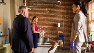 Rizzoli & Isles 5. Sezon 11. Bölüm