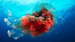 Blue Planet II 1. Sezon 4. Bölüm