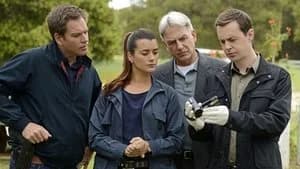 NCIS 9. Sezon 24. Bölüm