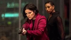Blindspot 3. Sezon 18. Bölüm