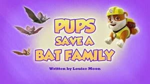 PAW Patrol 6. Sezon 25. Bölüm
