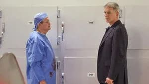 NCIS 10. Sezon 12. Bölüm