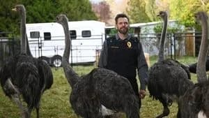 Animal Control 1. Sezon 1. Bölüm
