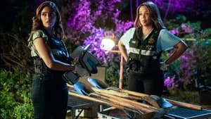 CSI: Vegas 1. Sezon 4. Bölüm