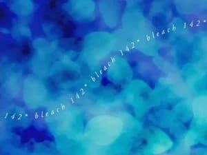 Bleach 1. Sezon 142. Bölüm