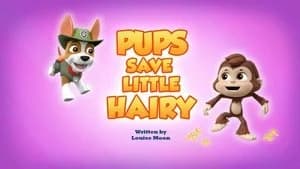 PAW Patrol 7. Sezon 44. Bölüm