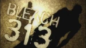 Bleach 1. Sezon 313. Bölüm