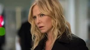 Law & Order: Special Victims Unit 20. Sezon 17. Bölüm