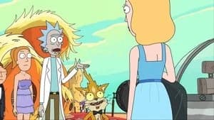 Rick and Morty 2. Sezon 10. Bölüm
