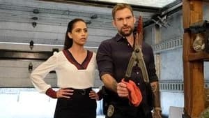 Lethal Weapon 3. Sezon 10. Bölüm