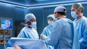 Grey's Anatomy 21. Sezon 3. Bölüm