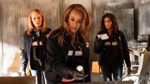 CSI: Vegas 2. Sezon 15. Bölüm