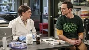 The Big Bang Theory 10. Sezon 8. Bölüm