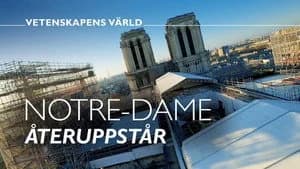 Vetenskapens värld 50. Sezon 36. Bölüm