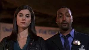 Law & Order 17. Sezon 4. Bölüm