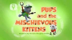 PAW Patrol 2. Sezon 30. Bölüm