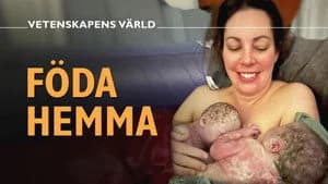 Vetenskapens värld 50. Sezon 18. Bölüm
