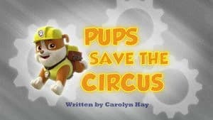 PAW Patrol 1. Sezon 7. Bölüm