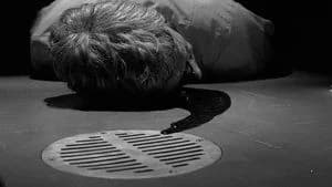 The X-Files 3. Sezon 16. Bölüm