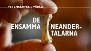 Vetenskapens värld 50. Sezon 34. Bölüm