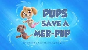 PAW Patrol 2. Sezon 31. Bölüm