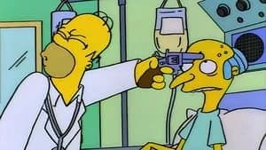 The Simpsons 7. Sezon 1. Bölüm