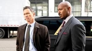 Law & Order 22. Sezon 14. Bölüm