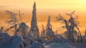 Frozen Planet 1. Sezon 1. Bölüm